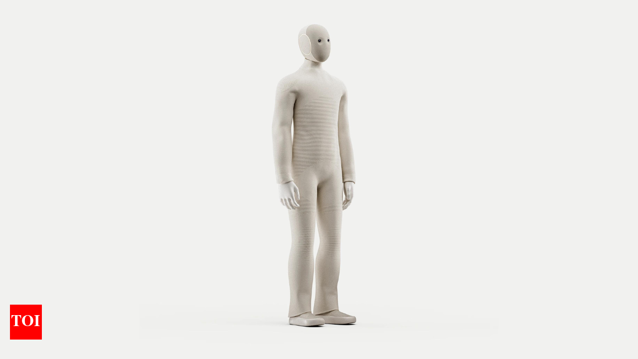 This $20,000 humanoid robot has a human doing your daily chores - The Times  of India