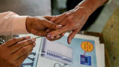 प्रतीकात्मक छवि कुम्हरार में युवा और जातीय समीकरण बदलने से भाजपा के लिए कड़ी चुनौती