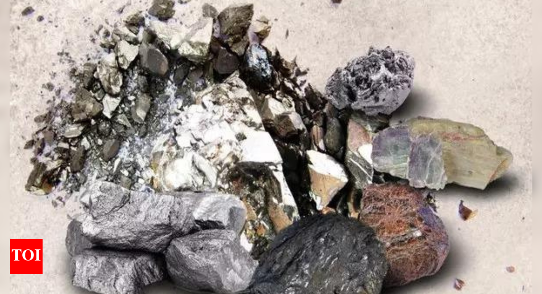 Some Indian cos have received licenses to import rare earth magnets from China: External Affairs Ministry