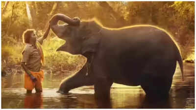 'Elephant Whisperer’ of Chhattisgarh: Video Captures Man Gently Guiding Wild Elephants Back to Forest