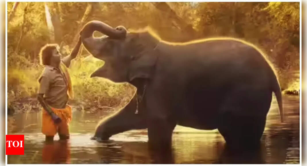 'Elephant Whisperer’ of Chhattisgarh: Video Captures Man Gently Guiding Wild Elephants Back to Forest