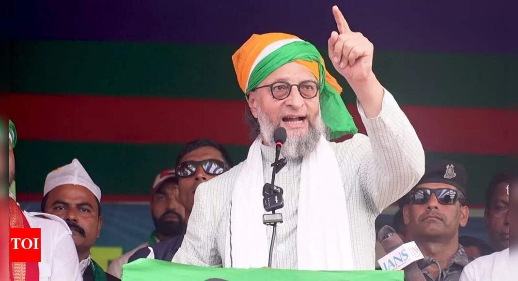 Owaisi: No infiltrator in Seemanchal region