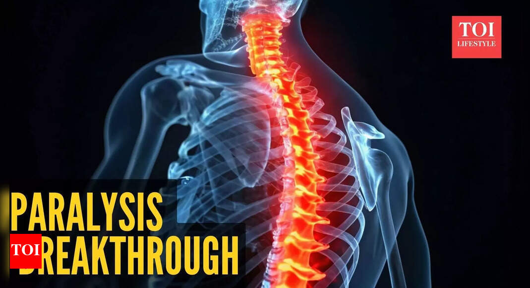 Cure for paralysis? Scientists find an old drug that could regenerate life in the spinal cord