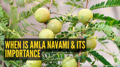 Akshaya Navami, celebrated on October 31, 2025, marks the beginning of Satya Yuga, promising everlasting results for actions performed. This auspicious day, also known as Amla Navami, involves worshipping Lord Vishnu and the sacred Amla tree.  Fasting and rituals on this day are believed to bring happiness, peace, and prosperity. Amla Navami 2025: When is Amla Navami, date, time, significance, and what makes amla so auspicious