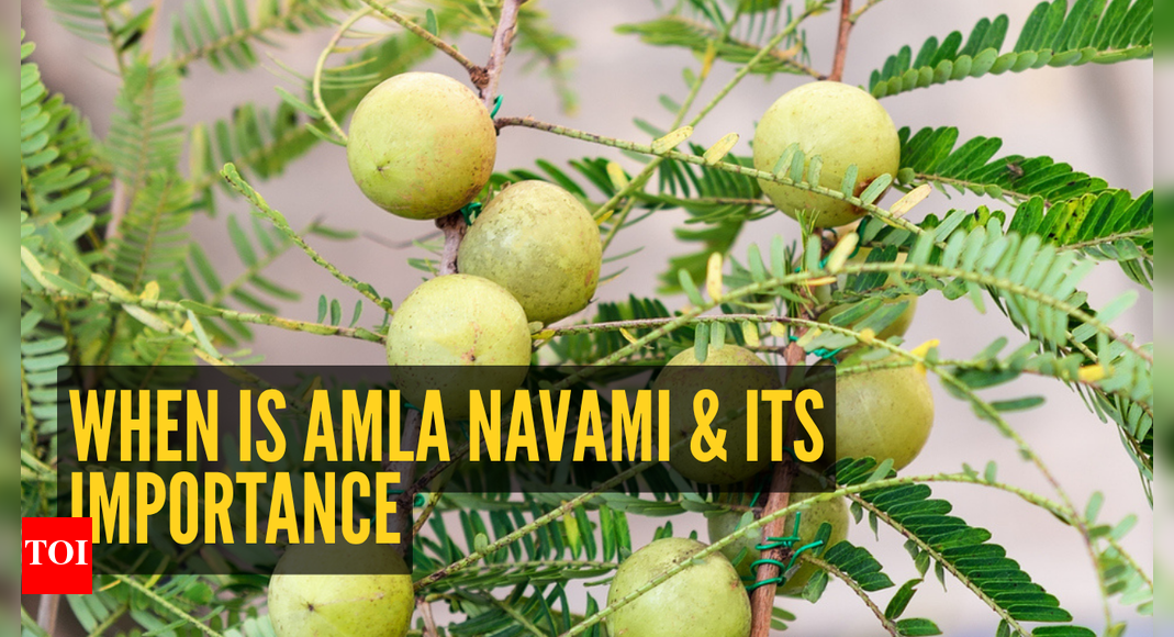 Amla Navami 2025: When is Amla Navami, date, time, significance, and what makes amla so auspicious