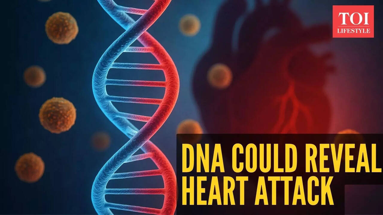 Heart Attack: Your DNA could reveal a hidden heart attack risk: Scientists  uncover the genetic code behind high cholesterol | - The Times of India