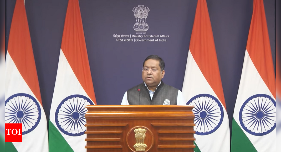 'Some Indian companies': China OKs supply of rare earth magnets to India; what MEA said