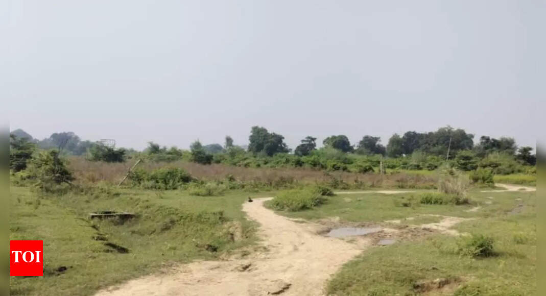 Real estate scam: ED seizes properties linked to Rohtas-LJK Group in Lucknow; current market value exceeds Rs 300 crore