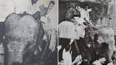 ‘It was raining ...’: Congress recalls Indira Gandhi’s 1977 Bihar visit; posts pics of her on elephant