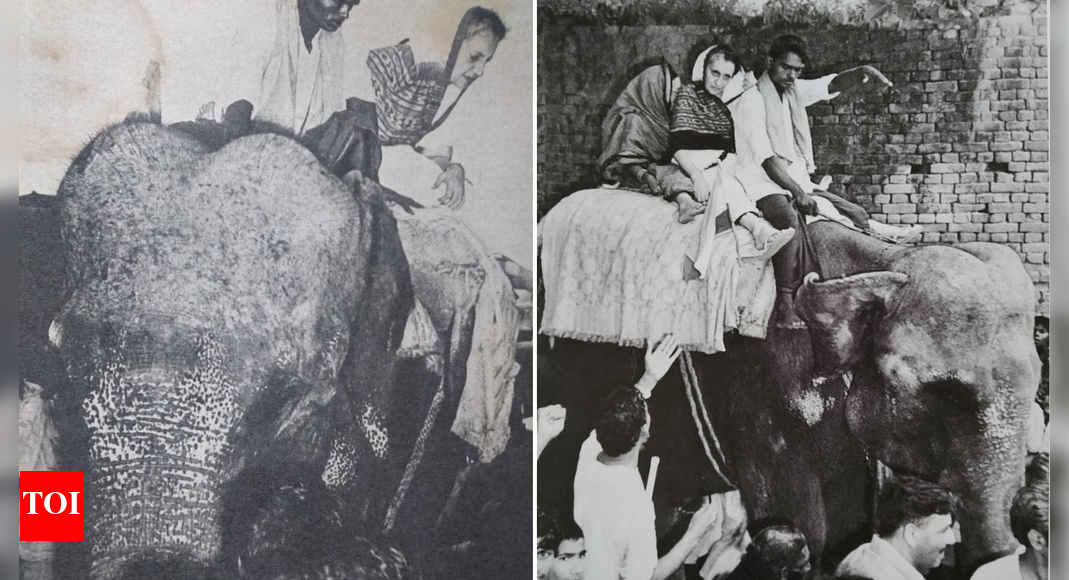 ‘It was raining ...’: Cong recalls Indira’s 1977 Bihar visit; posts pics of her on elephant