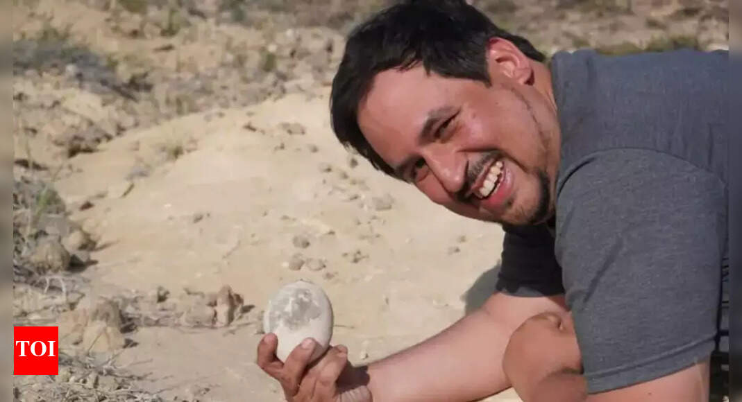 Unearthing Patagonia’s hidden past: A rare dinosaur egg challenges ancient evolutionary narratives