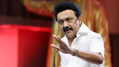 <p>Tamil Nadu CM MK Stalin.</p> Tamil Nadu CM Stalin condemns PM Narendra Modi for 'remarks against Tamils' during Bihar election campaign