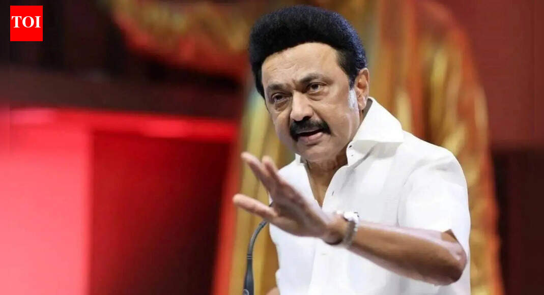 Tamil Nadu CM Stalin Slams PM Modi Over 'Anti-Tamil' Comments During ...