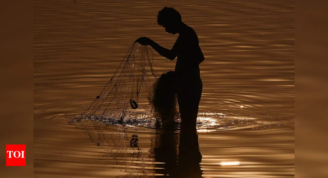 Small sized fishes found dead due to decrease in dissolved oxygen levels in Varuna river