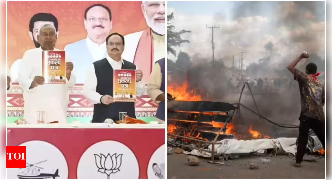 Evening news wrap: NDA releases manifesto for Bihar polls; over 700 protesters dead in Tanzania crisis, claims opposition; and more