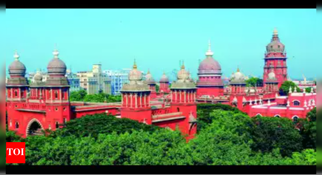 Madras high court extends interim bail of Mylapore Fund promoter till Nov 7