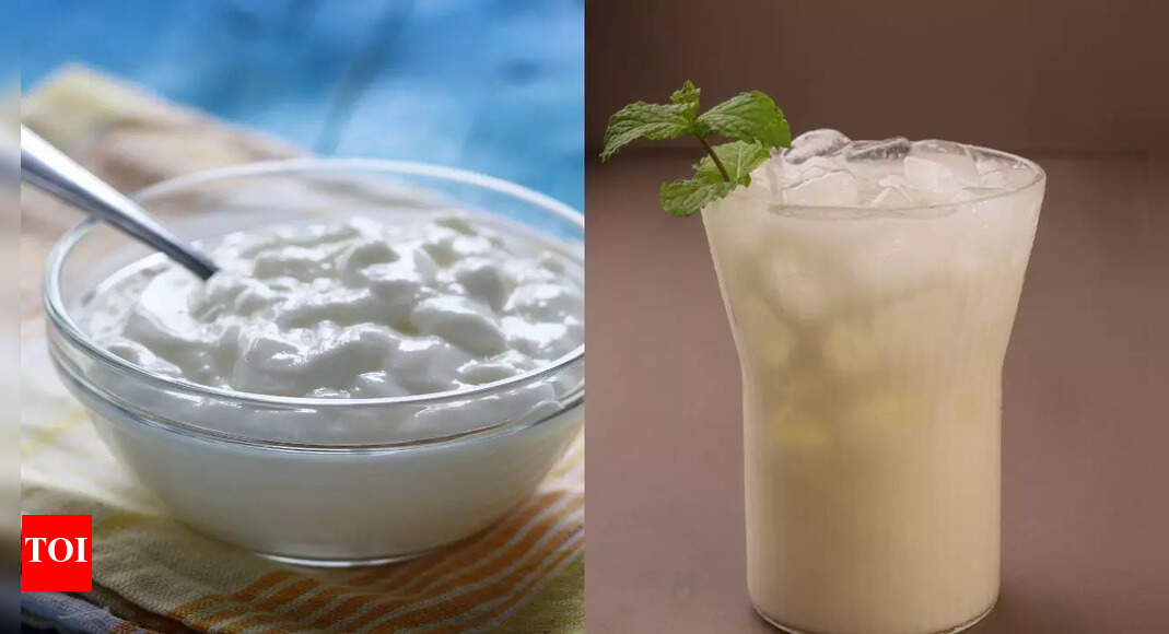 Curd or buttermilk: Which is better for your gut health, hydration, and overall well-being