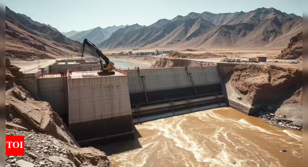 'Severe water shortages': Pakistan faces 'acute risk' after India’s IWT suspension - report