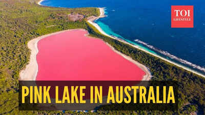 Lake Hillier, in Australia has a 'candy pink' colour: What makes it look like that?