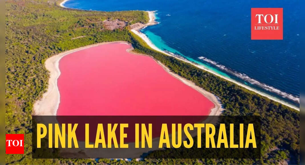 Lake Hillier, in Australia has a 'candy pink' colour: What makes it look like that?
