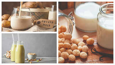 Elevate your dishes with offbeat vegan milks