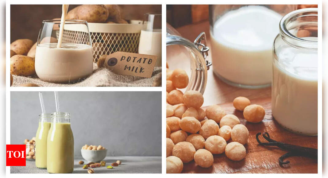 Elevate your dishes with offbeat vegan milks
