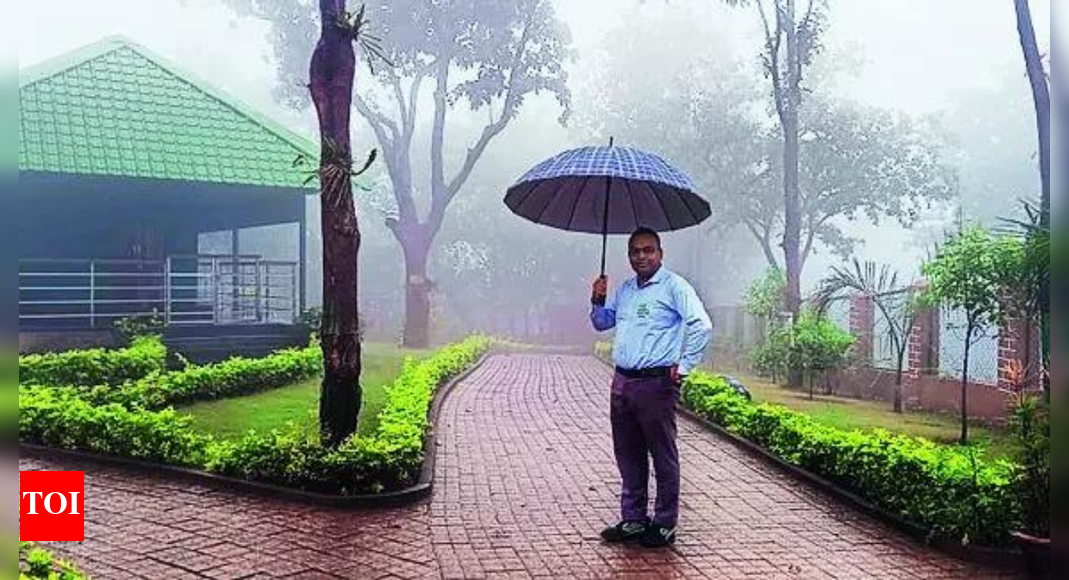 November likely to be quite pleasant in large parts of India: IMD