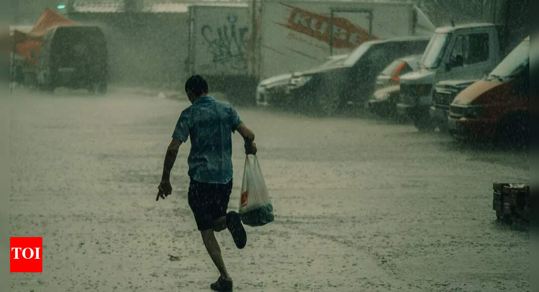 IMD forecasts heavy rains to persist over eastern India; rain and snow in the north from November 3