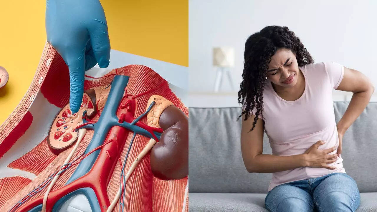 Easing up meaning in kannada (96) 사진