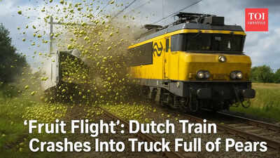 ‘When life gives you pears…’: Viral video of Dutch freight train crash with pear truck takes over X, Reddit and TikTok