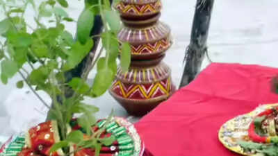 Tulsi Vivah Remedies You Can Perform For Early Marriage