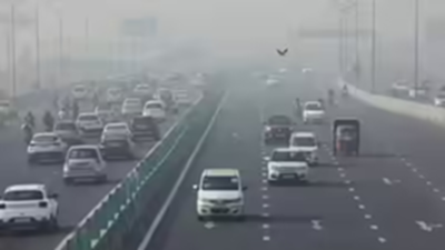  Ban enforced on non-Delhi BS-III goods vehicles; checks at 23 border points