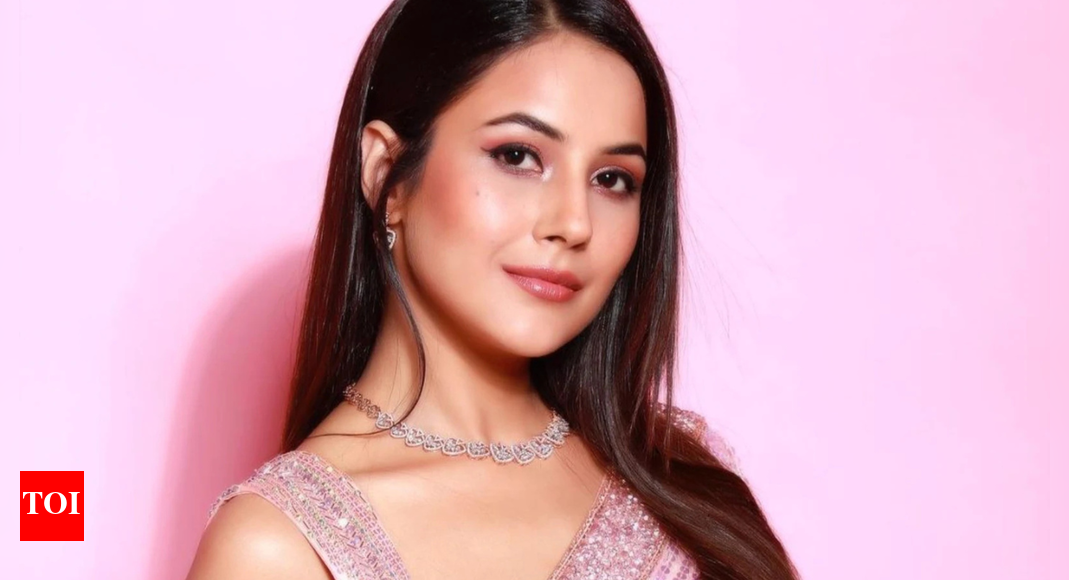 Shehnaaz Gill opens up on marriage, says ‘It’s not necessary anymore’