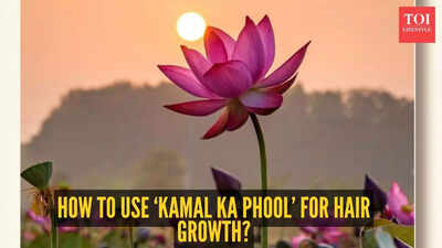 The hidden power of ‘Kamal Ka Phool’: How to use the lotus flower for hair growth?