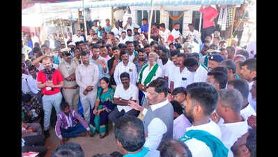 6-8 tigers strayed out of forest, none of them are man-eaters: Minister