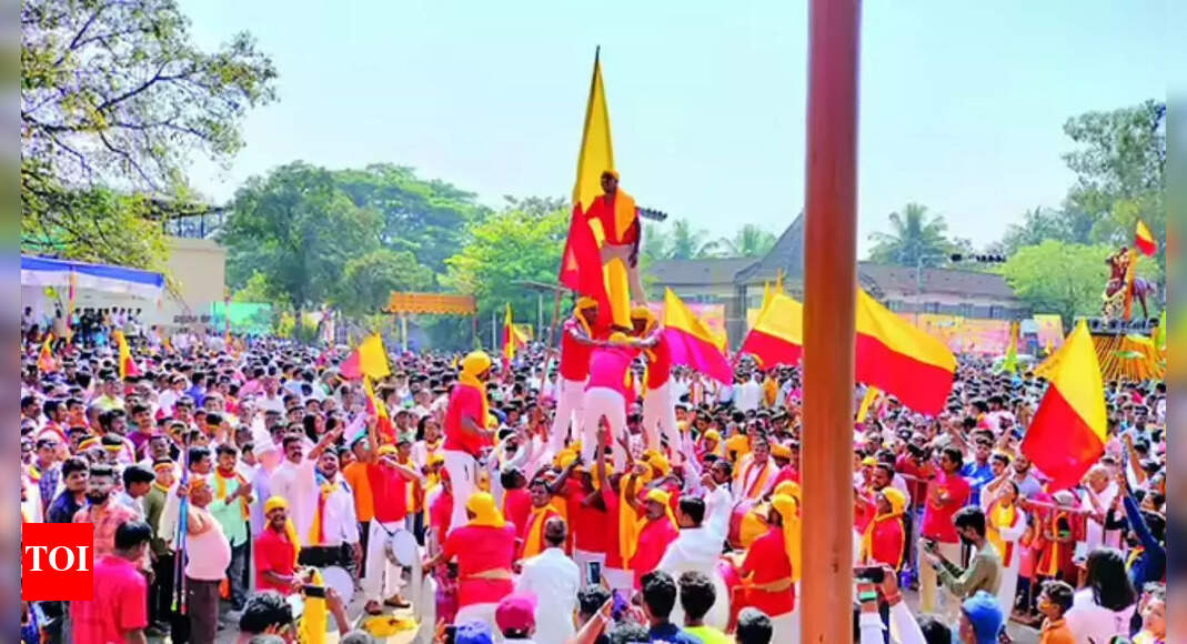 Knife attack in Karnataka: 5 stabbed during Kannada Rajyotsava celebrations | Hubballi News – The Times of India