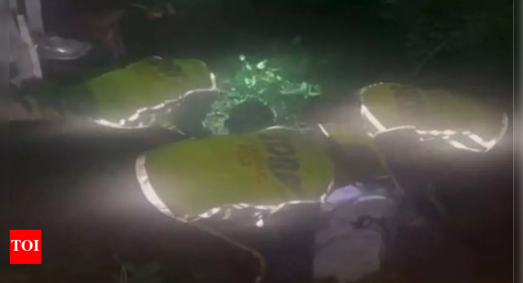 Nainital horror: Uttarakhand SDRF rescues 15 injured passengers after Tempo traveller plunges; 2 dead