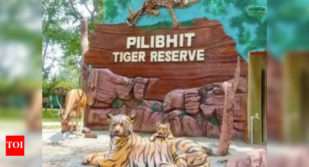 New Pilibhit Tiger Reserve safari draws flak over wildlife, legal concerns