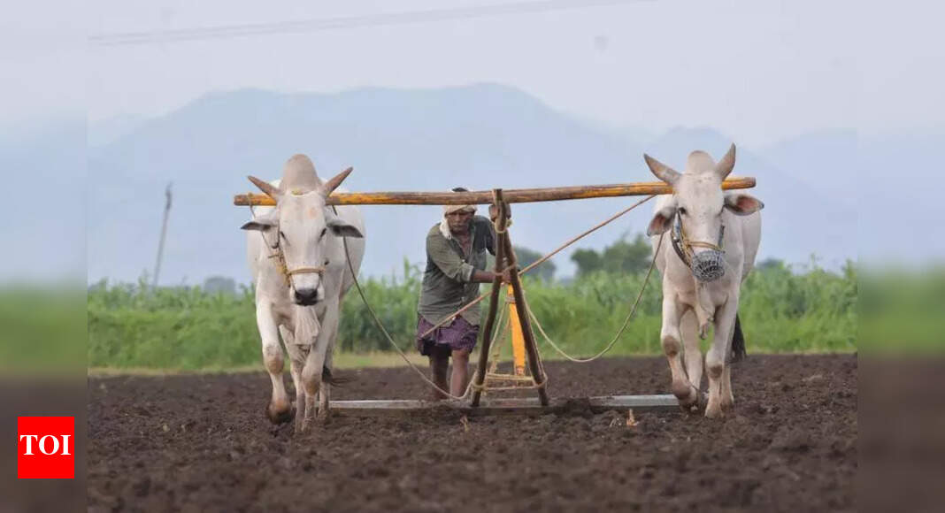 Soil health ensures sustainable farming and environmental conservation: Expert