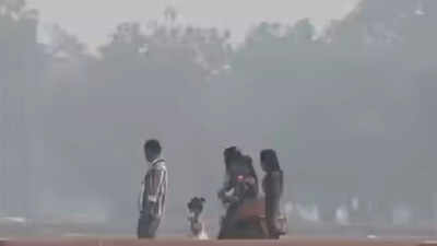  Priyanka Gandhi asks PM Narendra Modi, CM to act against ‘filthy smog’