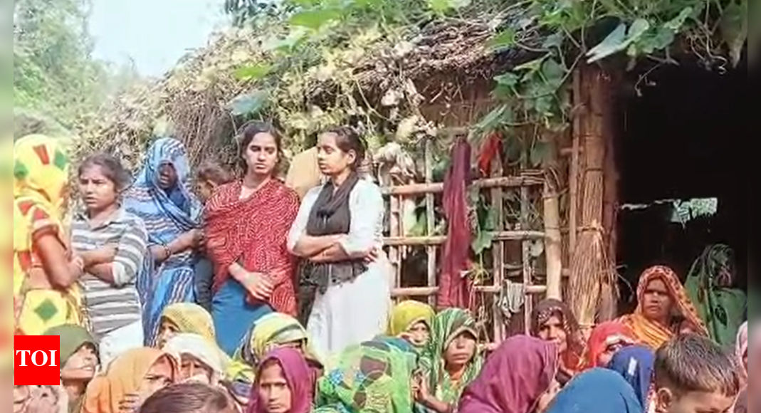 2-year-old girl dragged away by wolf in Bahraich; massive search operation underway