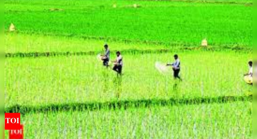 Farmers warn of a deepening water crisis as the dam’s resources are diverted to cities