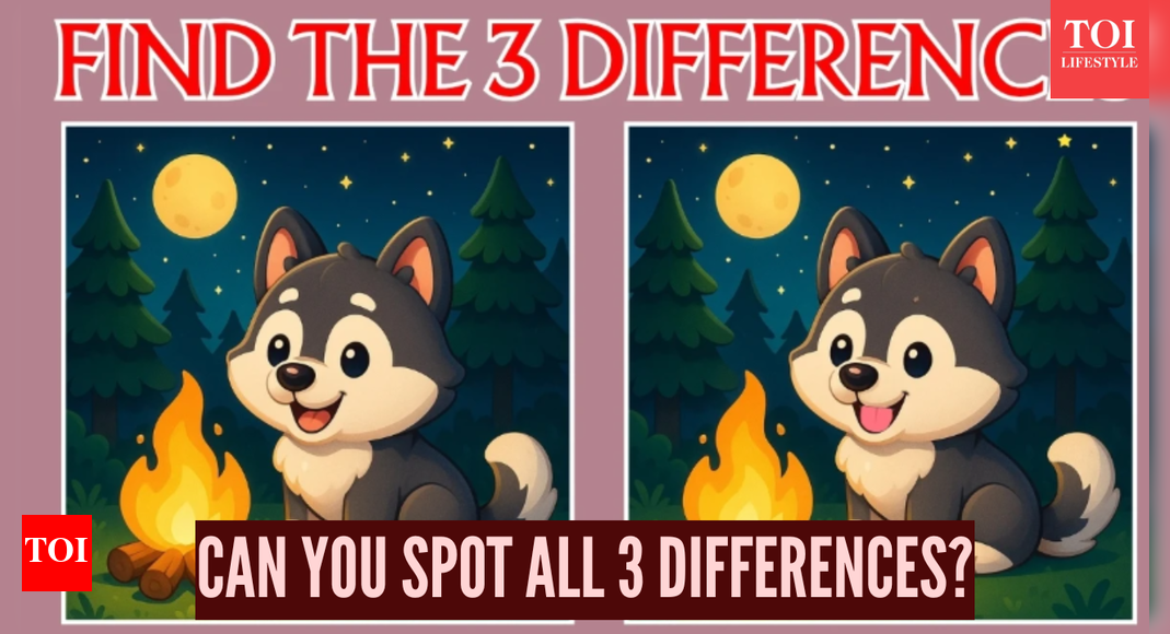 Spot 3 differences in this cat picture, only 1n find them in 15 seconds!