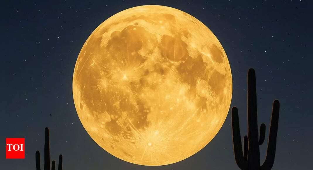 November Supermoon: When you can see it in New York, Washington, Miami, Chicago, Los Angeles, and other cities