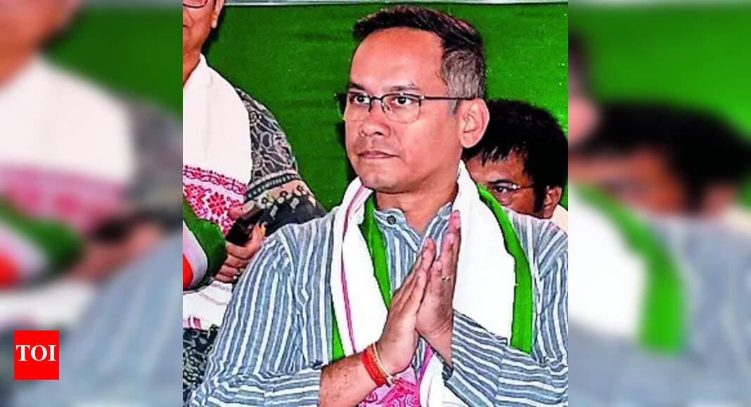 Will raise issues concerning NE varsities in Parliament: Gaurav