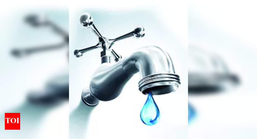 Women to be part of water, sanitation panels in Goa's villages