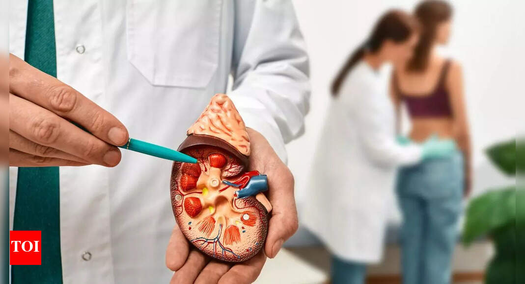 How diabetes and high blood pressure work together to damage your kidneys: Know the connection