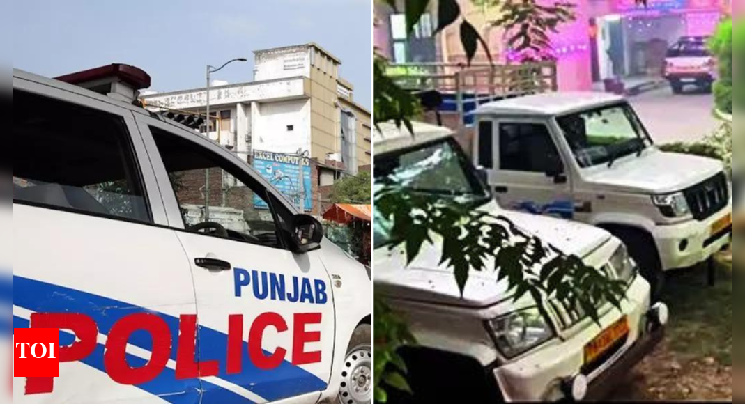 'Silent emergency': Punjab cops hold up newspaper delivery vehicles, draw oppn fire; press club condemns police action