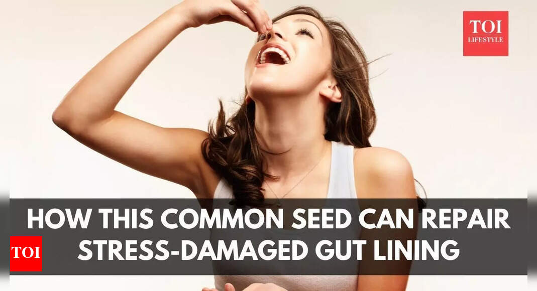 Doctor explains how this common seed can repair stress-damaged gut lining