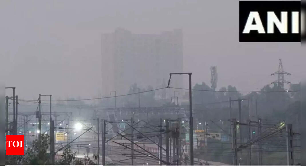 'It's pretty bad, I could barely see sun': Foreigner visiting Delhi on rising pollution; locals suffer burning eyes, breathing trouble